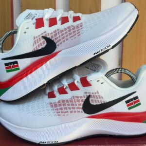 Nike Air Zoom Pegasus